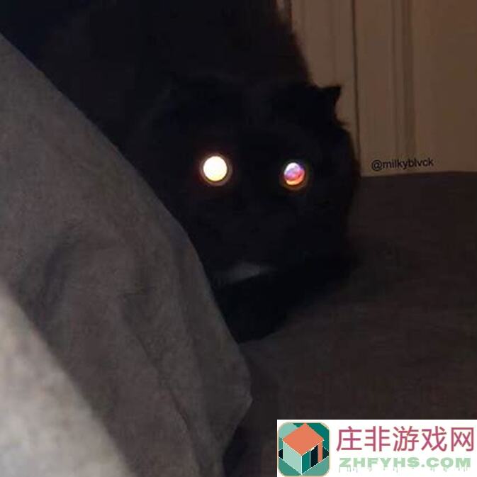 异世界勇者低分暗牧搭配秘籍：个人视角教你打造高战力阵容，一键提升战力指数！