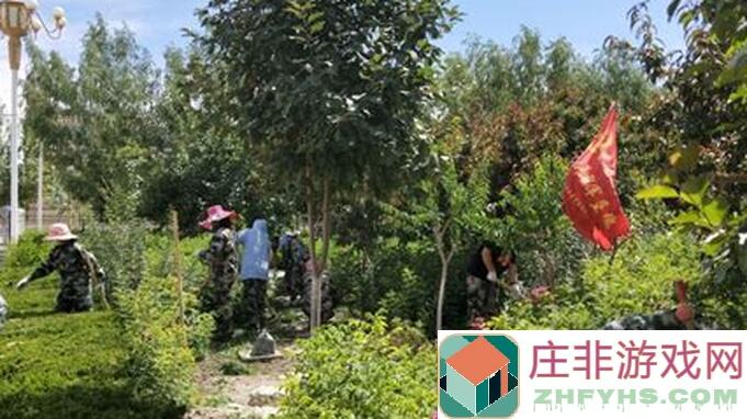 秩序：新曙光升入太空秘籍大放送！萌新必看太空生存攻略