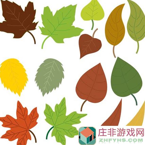 剑与远征魔女神器搭配攻略，轻松提升战力！