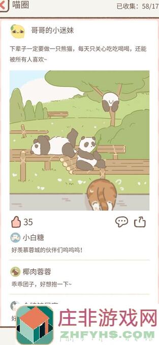 遇见你的猫：萌猫养成全攻略