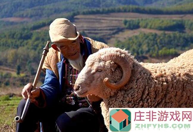 手把手教你如何像30岁老人一样变羊，体验超好玩的人生新篇章！值得一看的攻略！
