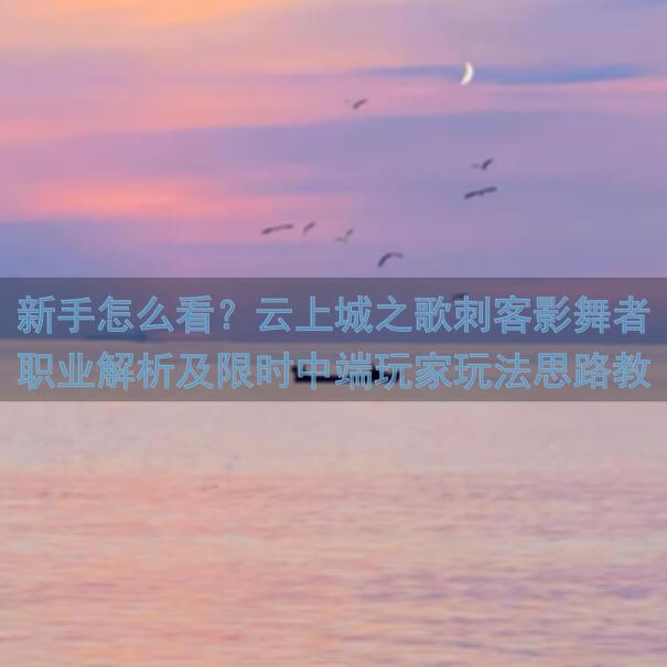 新手怎么看？云上城之歌刺客影舞者职业解析及限时中端玩家玩法思路教学初级篇