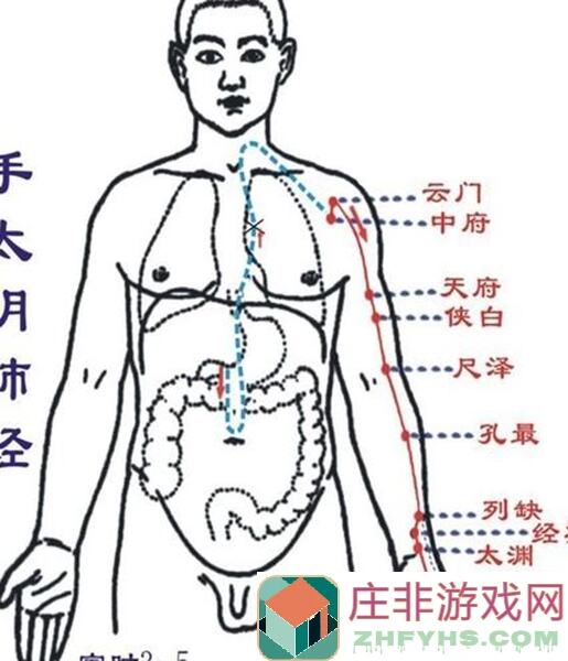 手把手教你轻松通关西游：笔绘西行炼狱七关卡！零氪平民玩家的必备攻略大公开！还有最新兑换码哦！