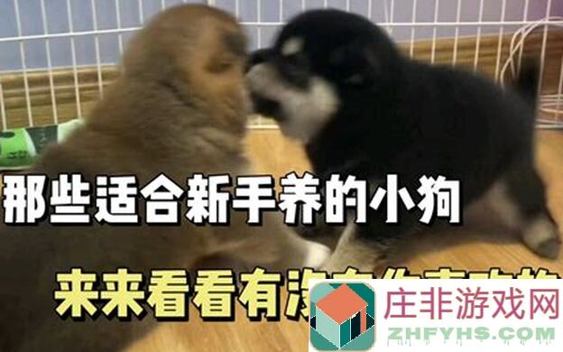 看完这篇攻略，你也能一天速通关鱼人雷兽狗头双狼！